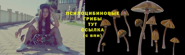 apvp Нея