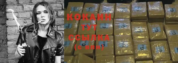 apvp Нея