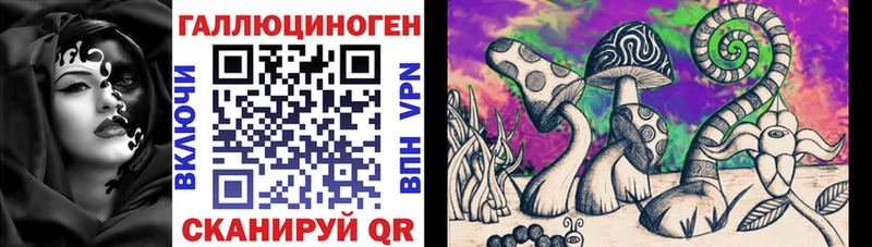 Псилоцибиновые грибы Psilocybine cubensis Южноуральск